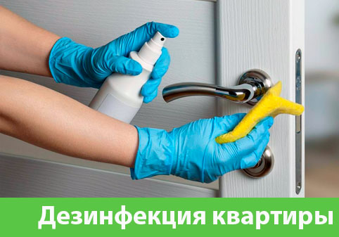 Дезинфекция квартиры в городе Каменск-Уральский