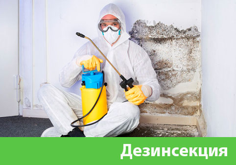 Дезинсекция в городе Каменск-Уральский