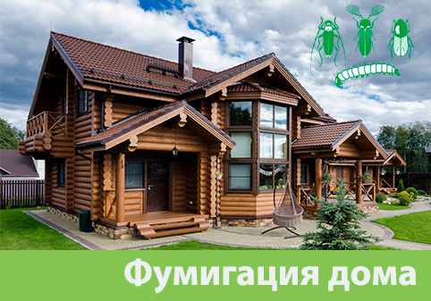 Преимущества обработки газом в городе Каменск-Уральский