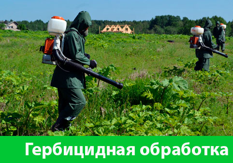 Гербицидная обработка в городе Каменск-Уральский