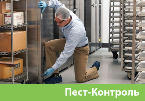 Пэст-Контроль в городе Каменск-Уральский