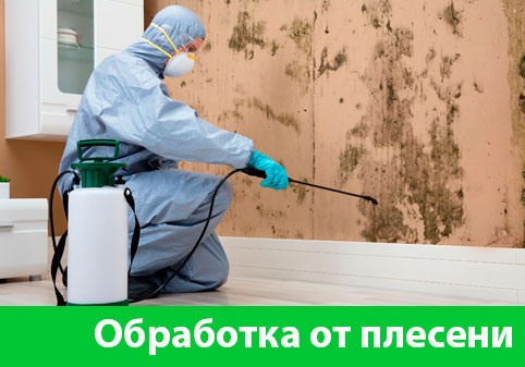 Обработка от плесени в городе Каменск-Уральский