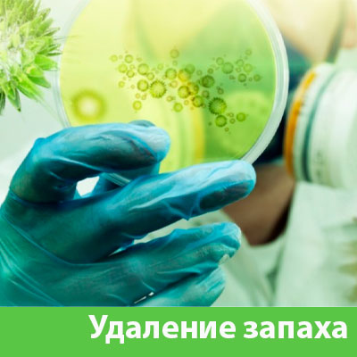Удаление запахов в Каменске-Уральском