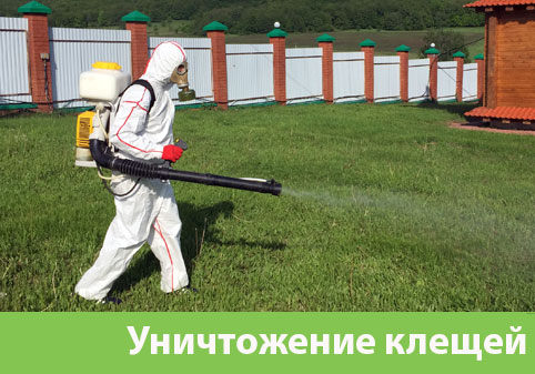 Уничтожение клещей в городе Каменск-Уральский