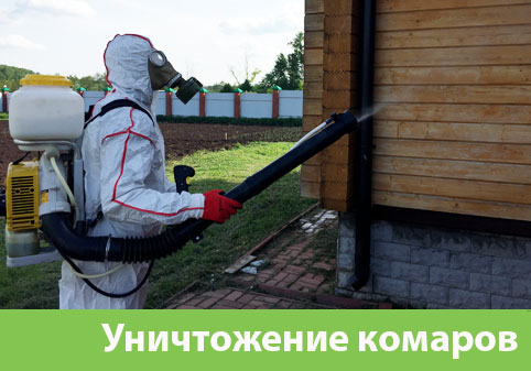 Уничтожение комаров в городе Каменск-Уральский